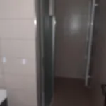 Nad Hristem 441 * Horní Planá